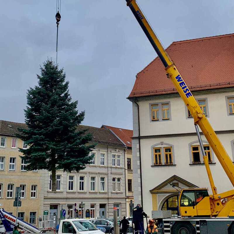 Aufstellung Weihnachtsbaum