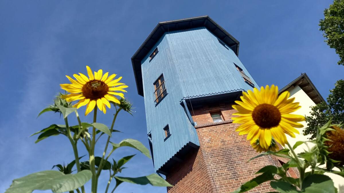 Wasserturm Sonnenblume