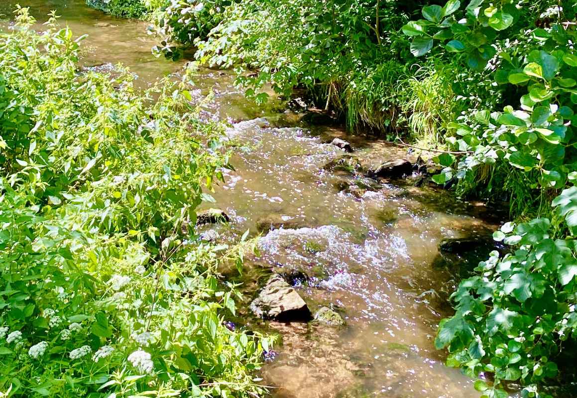 Rauda im Mühltal