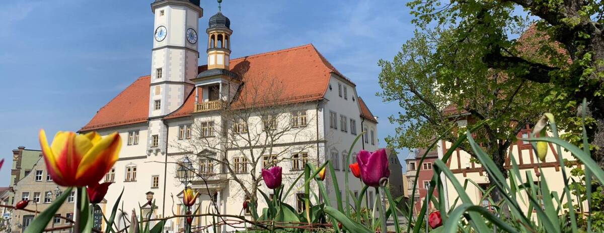 Rathaus im Frühling