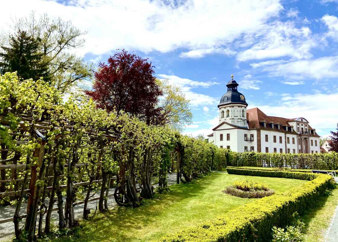 Schlossgarten im Sommer