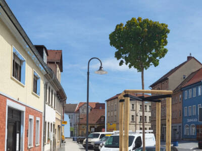 Am Roßplatz wurden Bäume neu gepflanzt. 
