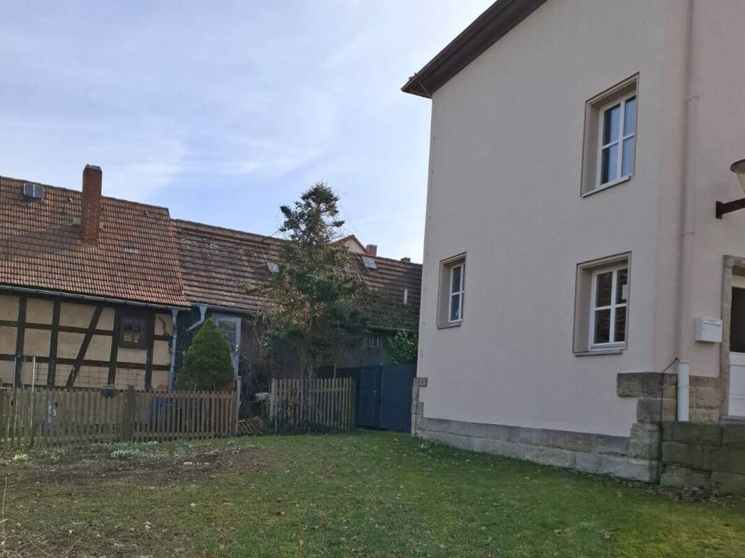 Freigeschnittene Fläche im Friedenspark