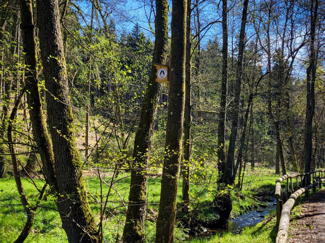 Nistkästen am Rauda-Bach im Eisenberger Mühltal.